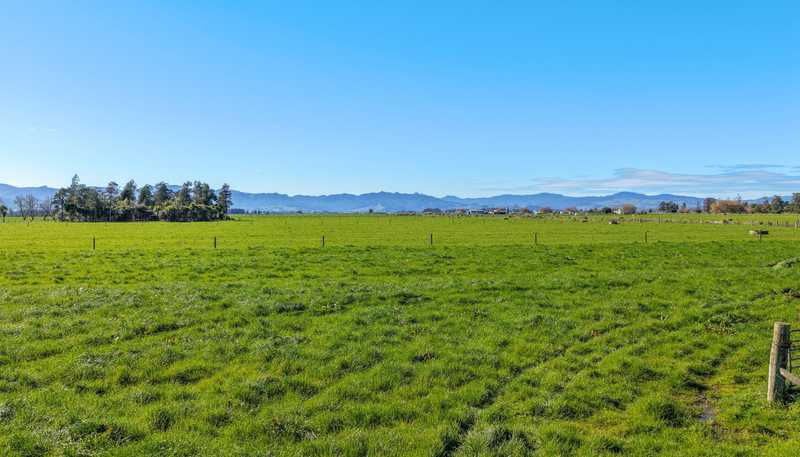 55 Opua Road, Turua