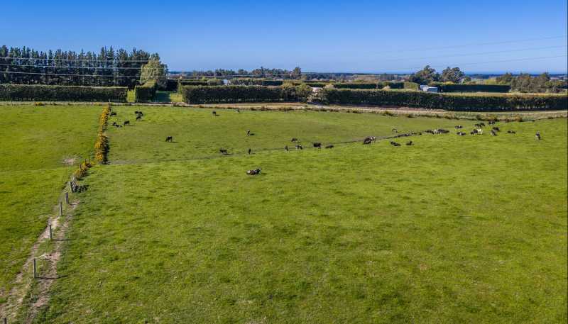 266 Rangiora Leithfield Road, Sefton