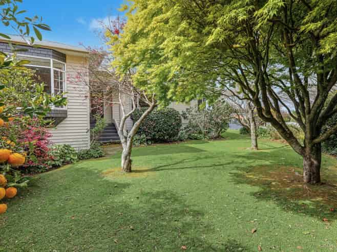 71 Fraser Street, Tauranga South