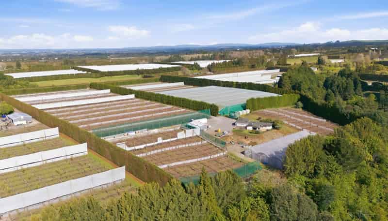 364 Te Matai Road, Te Puke