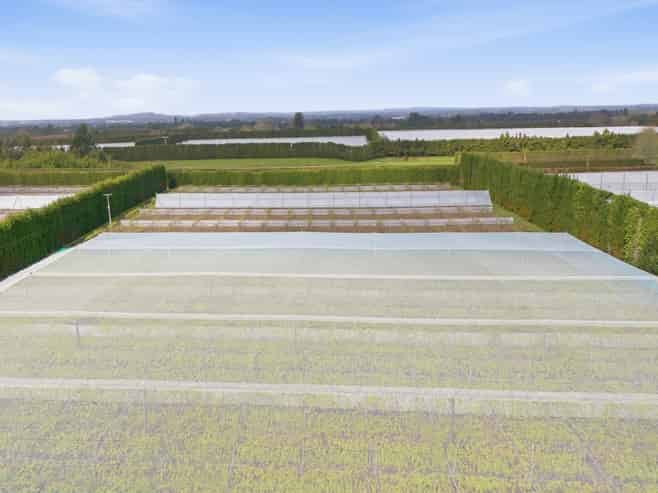 364 Te Matai Road, Te Puke