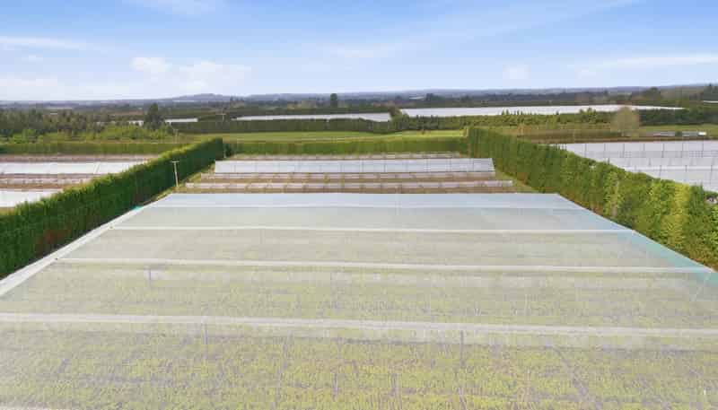 364 Te Matai Road, Te Puke