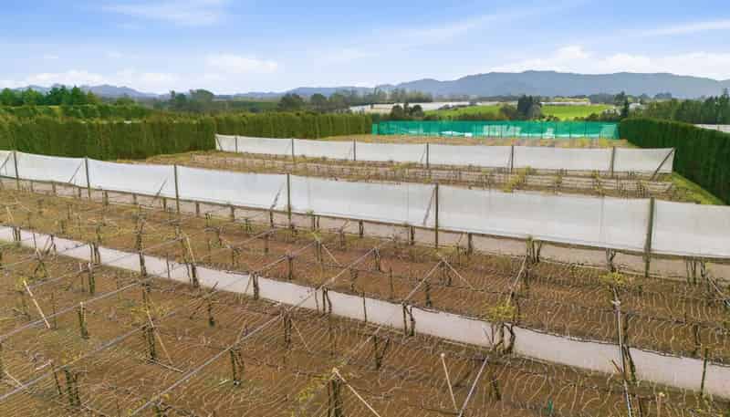 364 Te Matai Road, Te Puke