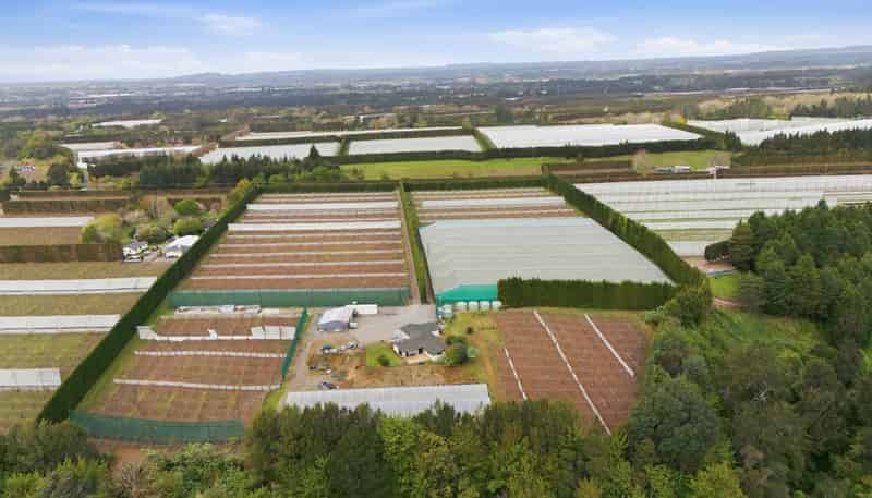 364 Te Matai Road, Te Puke