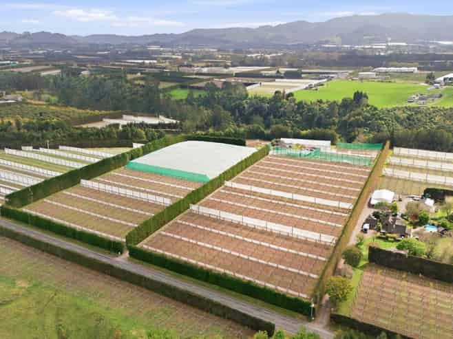364 Te Matai Road, Te Puke