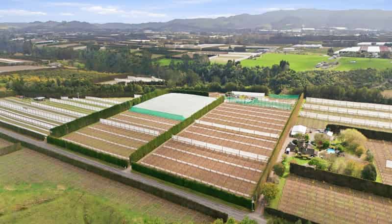 364 Te Matai Road, Te Puke