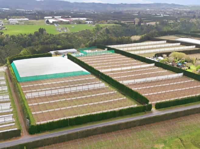 364 Te Matai Road, Te Puke