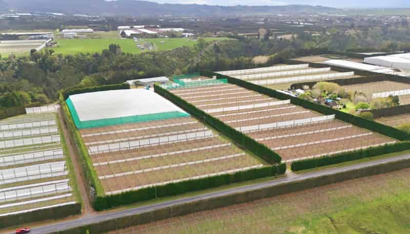 364 Te Matai Road, Te Puke