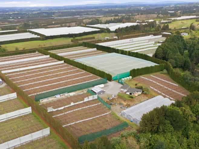 364 Te Matai Road, Te Puke