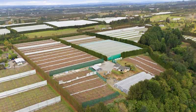 364 Te Matai Road, Te Puke