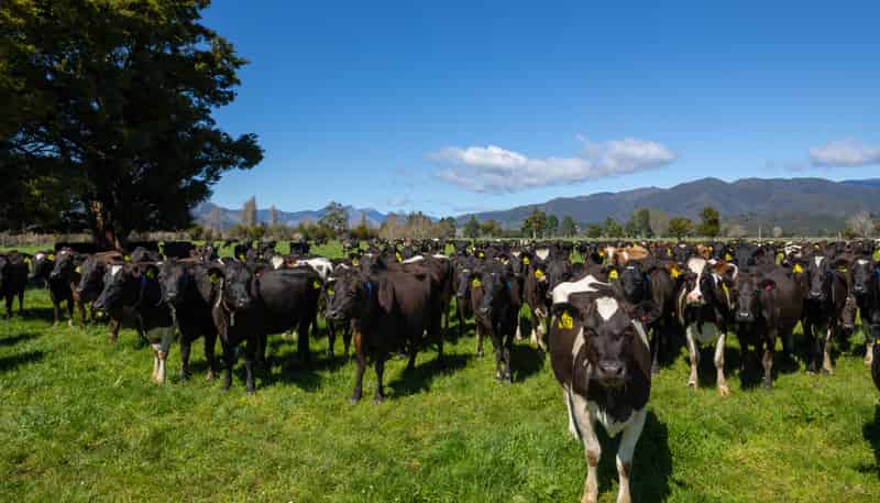1707-1780 Takaka Valley Highway, Takaka