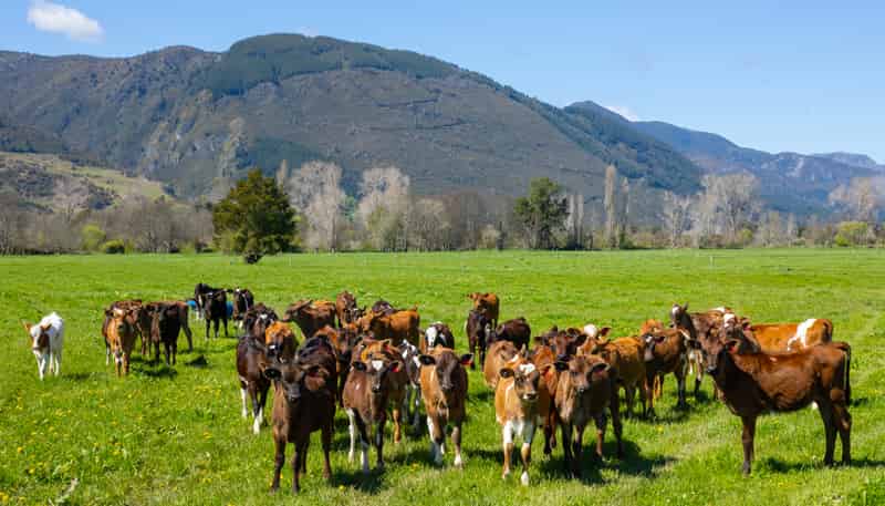 1707-1780 Takaka Valley Highway, Takaka