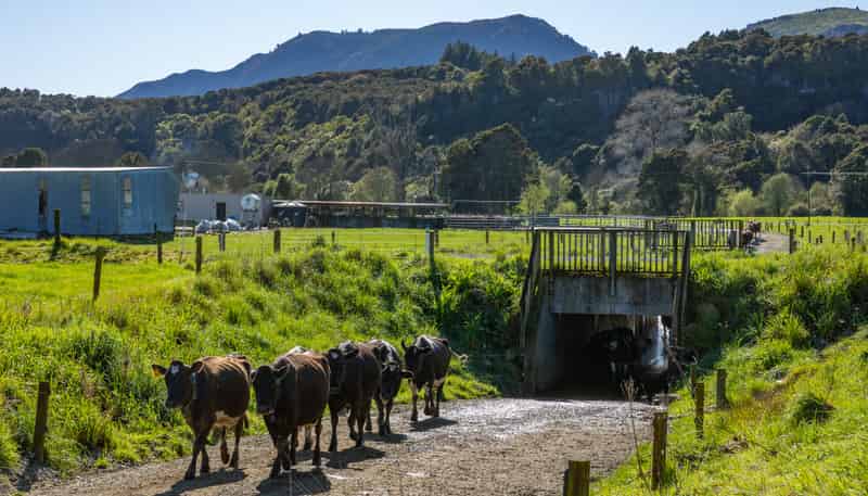1707-1780 Takaka Valley Highway, Takaka
