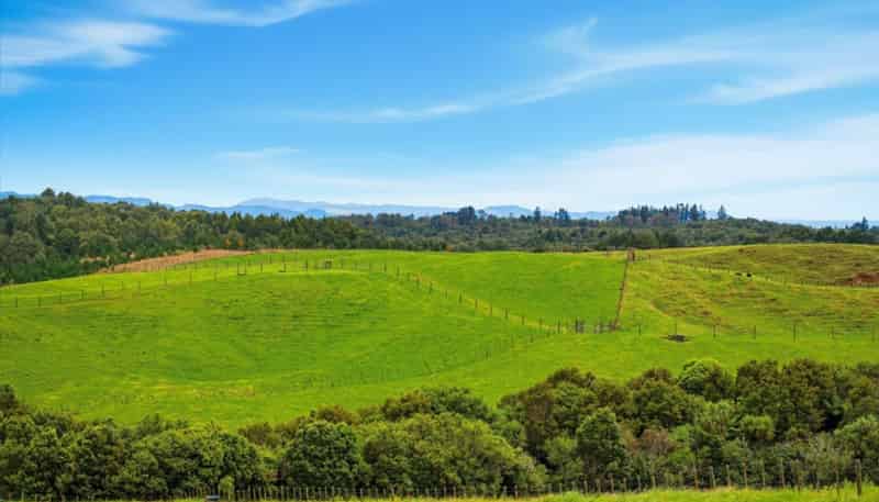 938C Whakamarama Road, Whakamarama