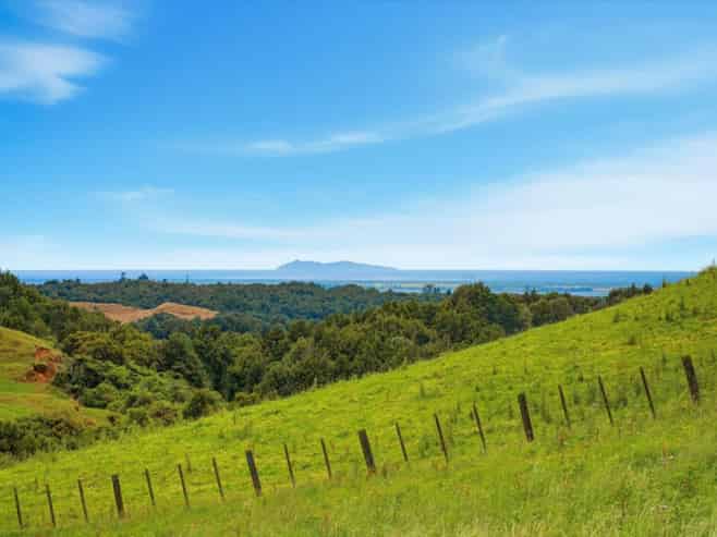 938c Whakamarama Road, Whakamarama