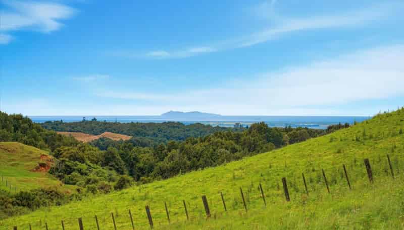 938C Whakamarama Road, Whakamarama