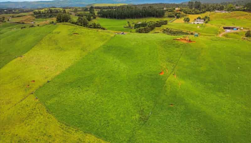 938C Whakamarama Road, Whakamarama