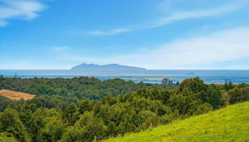 938C Whakamarama Road, Whakamarama