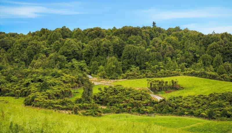 938C Whakamarama Road, Whakamarama
