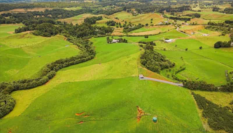 938C Whakamarama Road, Whakamarama