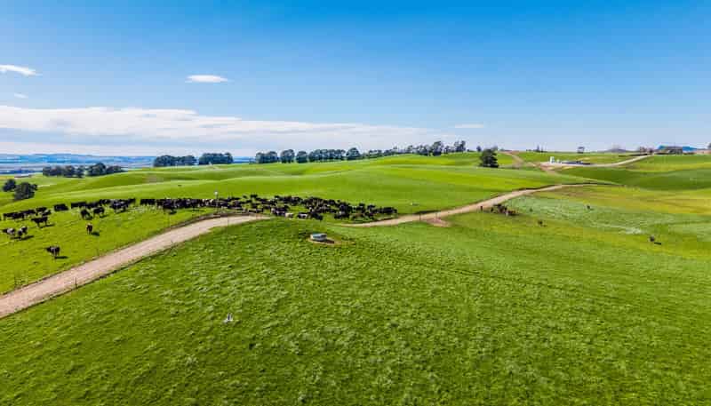 414 Glenn Settlement Road, Airedale