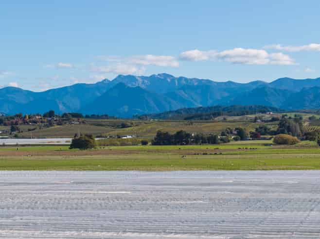 2514 Moutere Highway, Lower Moutere, Motueka