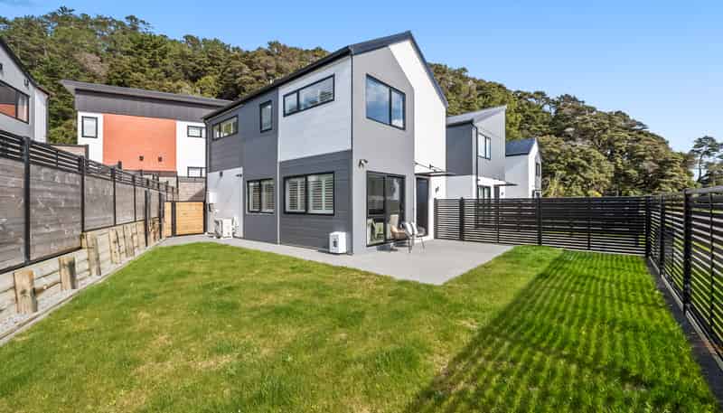 3 Harry Eruera Street, Wallaceville