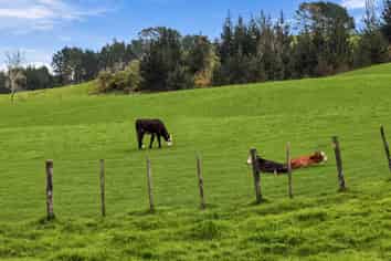 2393A Hunua Road, Hunua