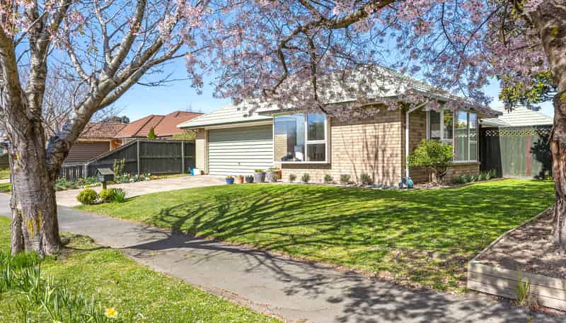 45 Showgate Avenue, Sockburn