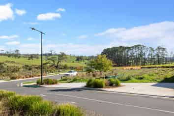 86 Puwha Street, Massey