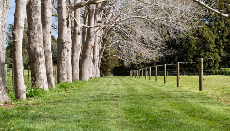 202K Ingram Road, Ramarama