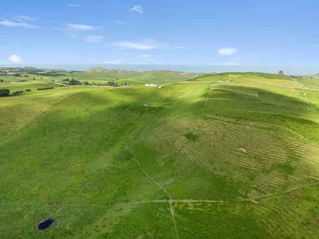 177 Rehutai Road, Dargaville Surrounds