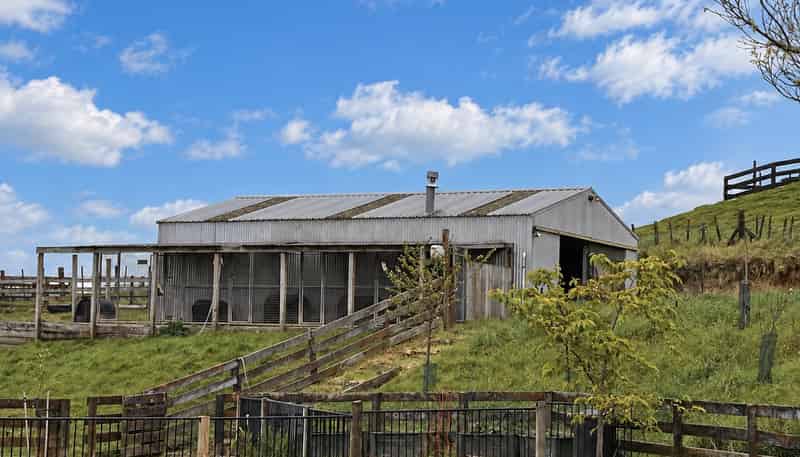 11 Dunning Road, Cambridge