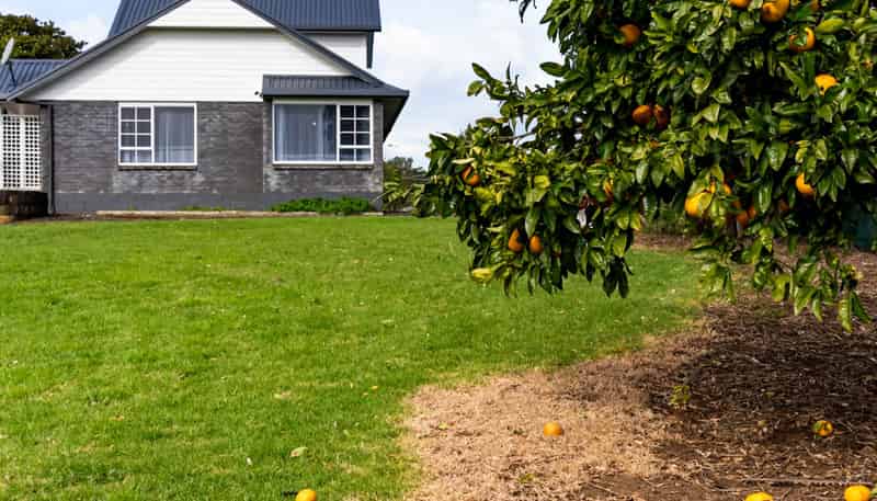 33 Morley Road, Waiuku