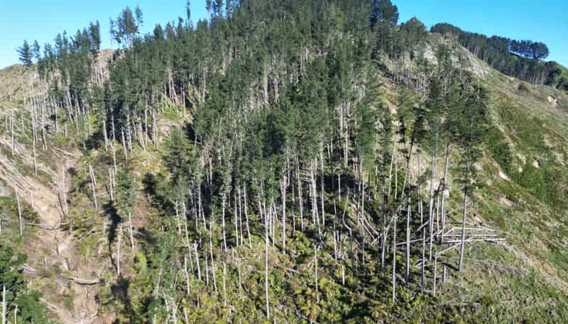  Cnr Whanganui River Road and Otunui South Road, Taumarunui
