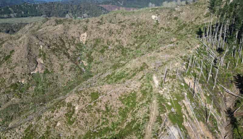  Cnr Whanganui River Road and Otunui South Road, Taumarunui