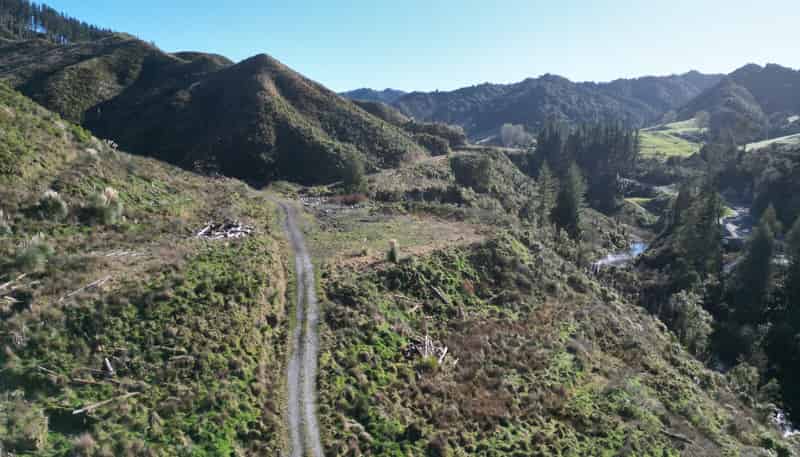  Cnr Whanganui River Road and Otunui South Road, Taumarunui