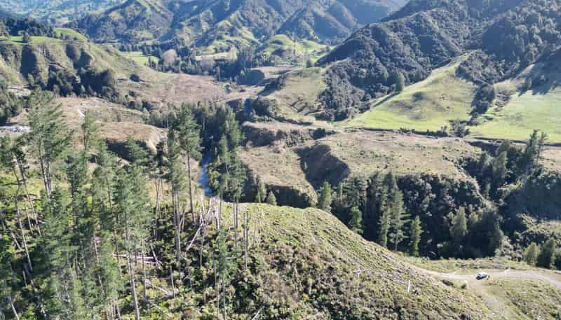  Cnr Whanganui River Road and Otunui South Road, Taumarunui