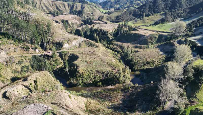  Cnr Whanganui River Road and Otunui South Road, Taumarunui