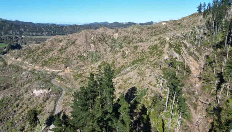  Cnr Whanganui River Road and Otunui South Road, Taumarunui