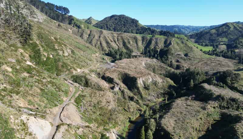  Cnr Whanganui River Road and Otunui South Road, Taumarunui