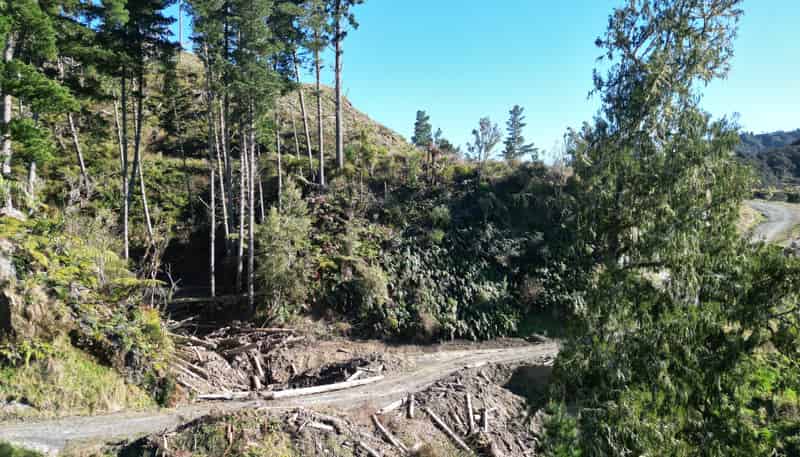  Cnr Whanganui River Road and Otunui South Road, Taumarunui