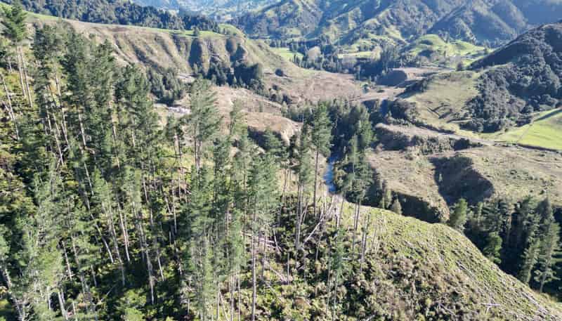  Cnr Whanganui River Road and Otunui South Road, Taumarunui
