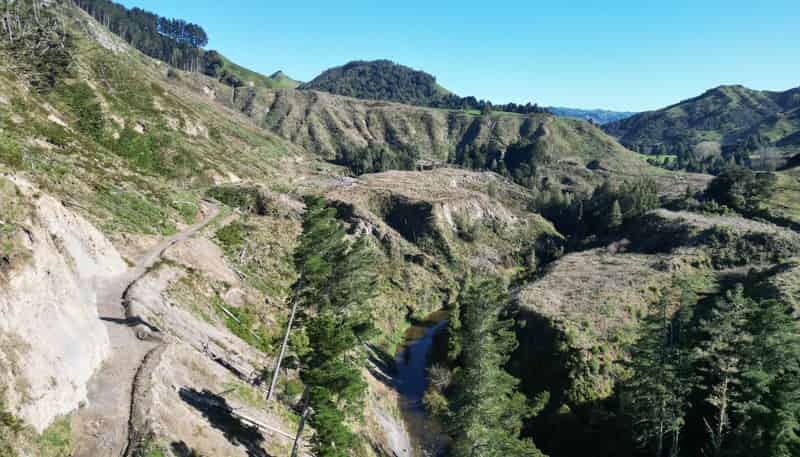  Cnr Whanganui River Road and Otunui South Road, Taumarunui