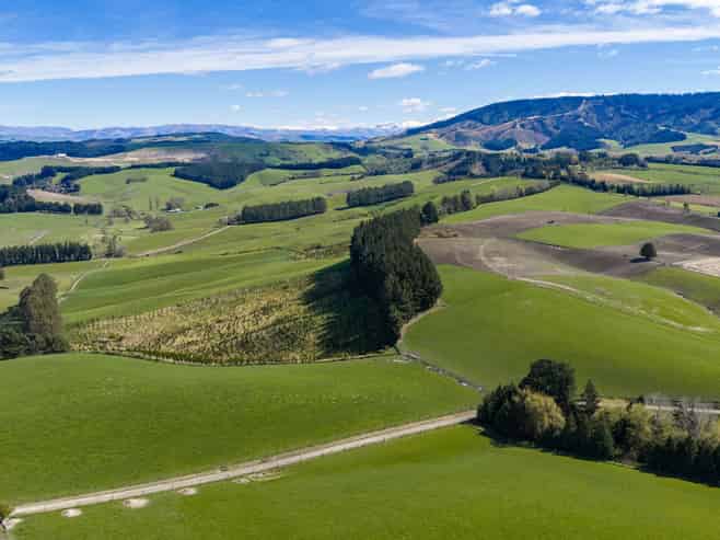399 Gualter Road, Geraldine