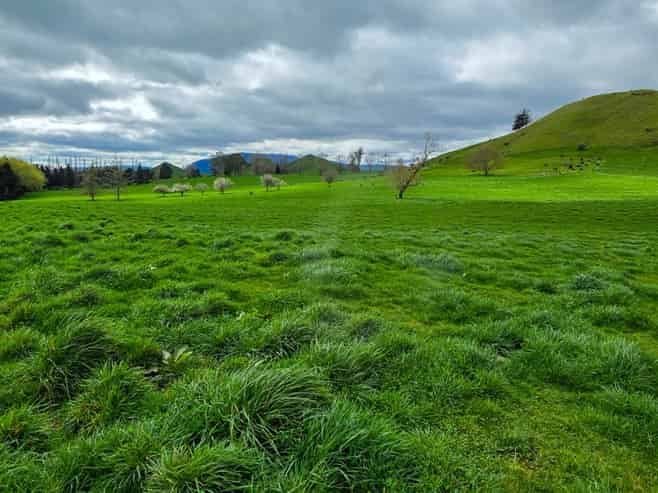 83 Brett Road, Rerewhakaaitu