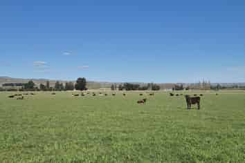 6648 Hyde-Middlemarch Road, Middlemarch