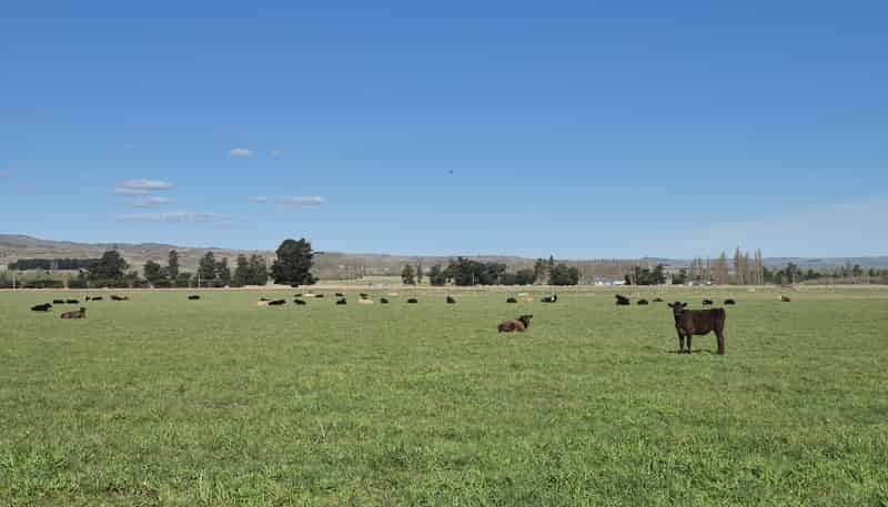 6648 Hyde-Middlemarch Road, Middlemarch