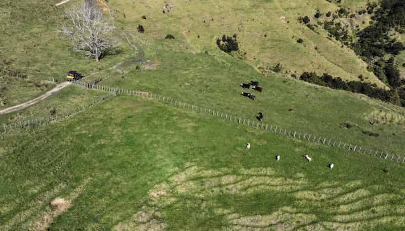 77 Remiger Road, Puhoi