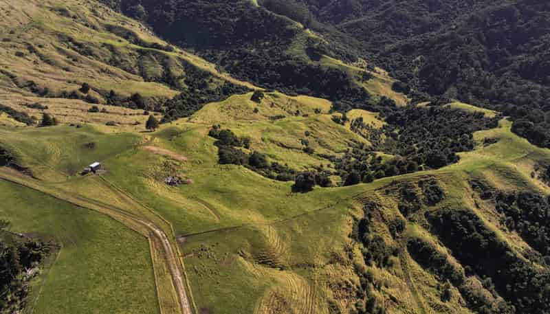 77 Remiger Road, Puhoi
